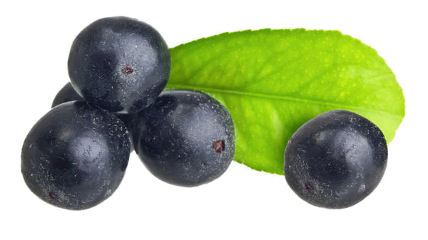 The amazing health benefits of Acai Berry.