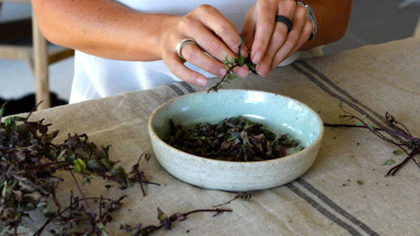How to make your own herbal tea