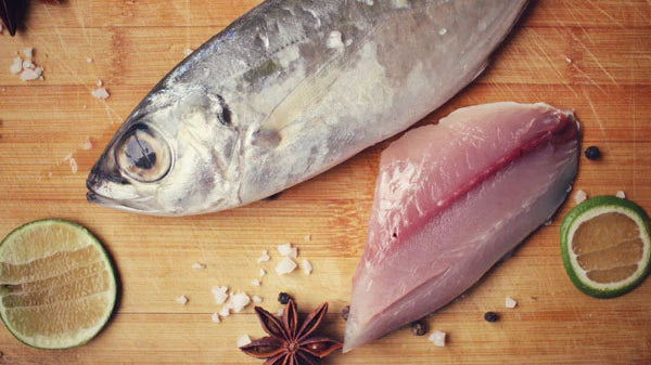 How to fillet a fish.