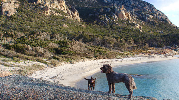 City slicker versus island dweller. Which adventure would you choose?