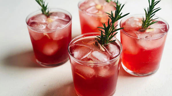 Ginger Kombucha Cranberry Mocktail