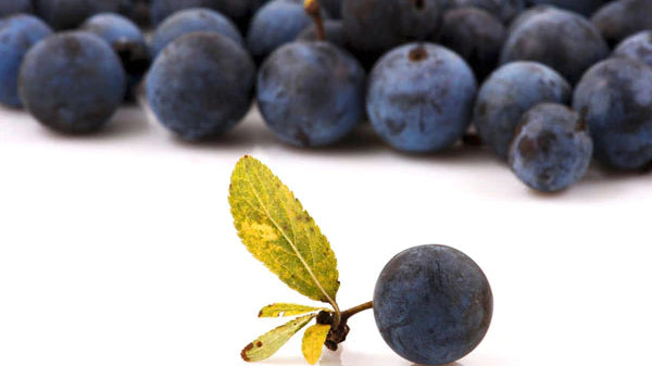 Superfood Feature: The health benefts of Maqui Berry