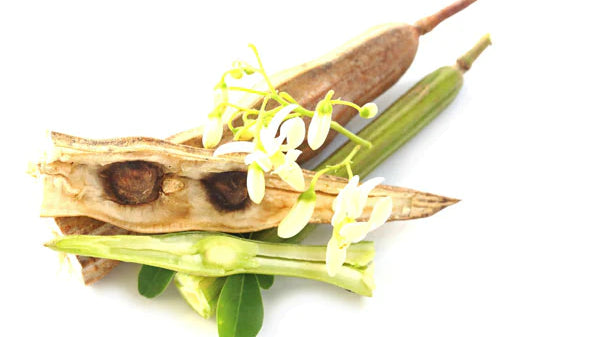 Superfood Feature: Moringa