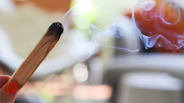 The Magic of Palo Santo (and how to use it)
