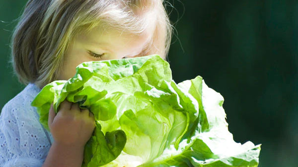Ten sneaky ways to include more veggies in little (and big) kid's diets.