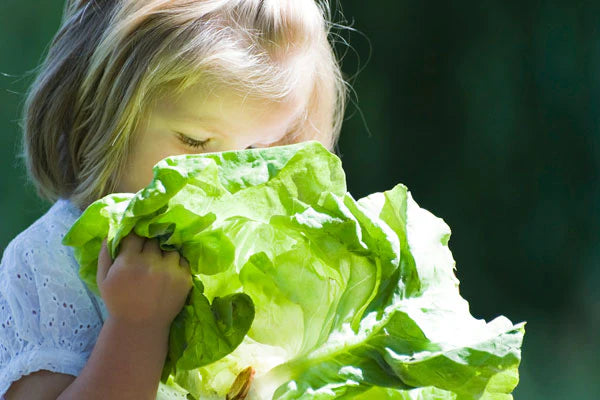 Ten sneaky ways to include more veggies in little (and big) kid's diets.