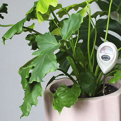 How accurate are soil moisture meters?