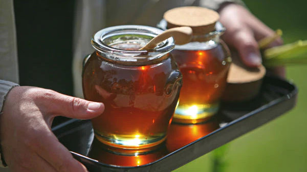 Refined Sugar Substitutes: what you need to know.