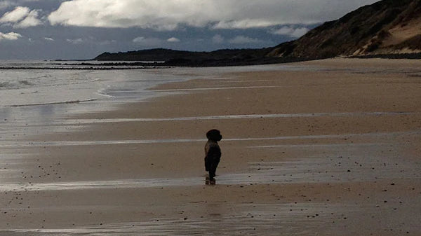 8 Steps for Creating Technology Boundaries in Your Life.