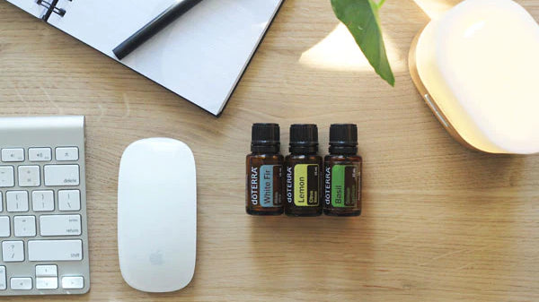 Focus and Motivation Diffuser Blends.