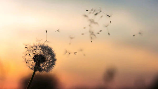 10 reasons why you should slow down to go faster.