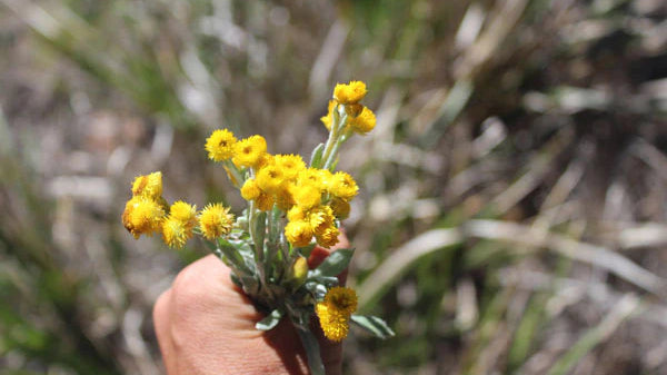 This simple gratitude practice could change your life.