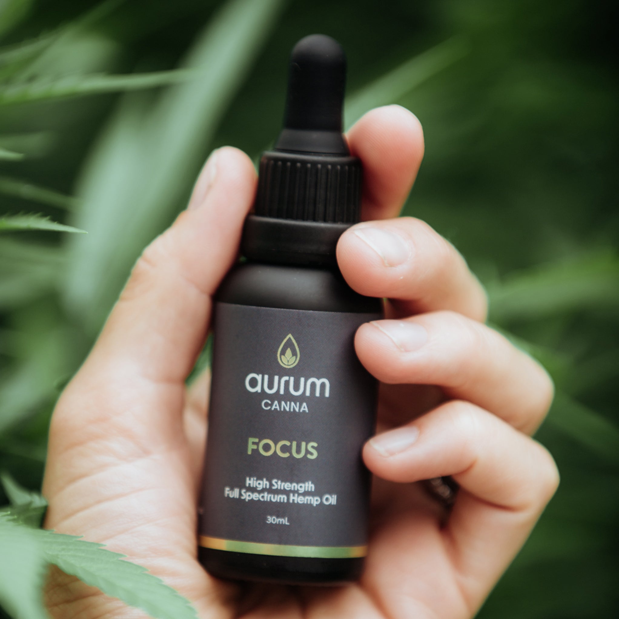 Aurum High Strength Hemp Oil - Focus