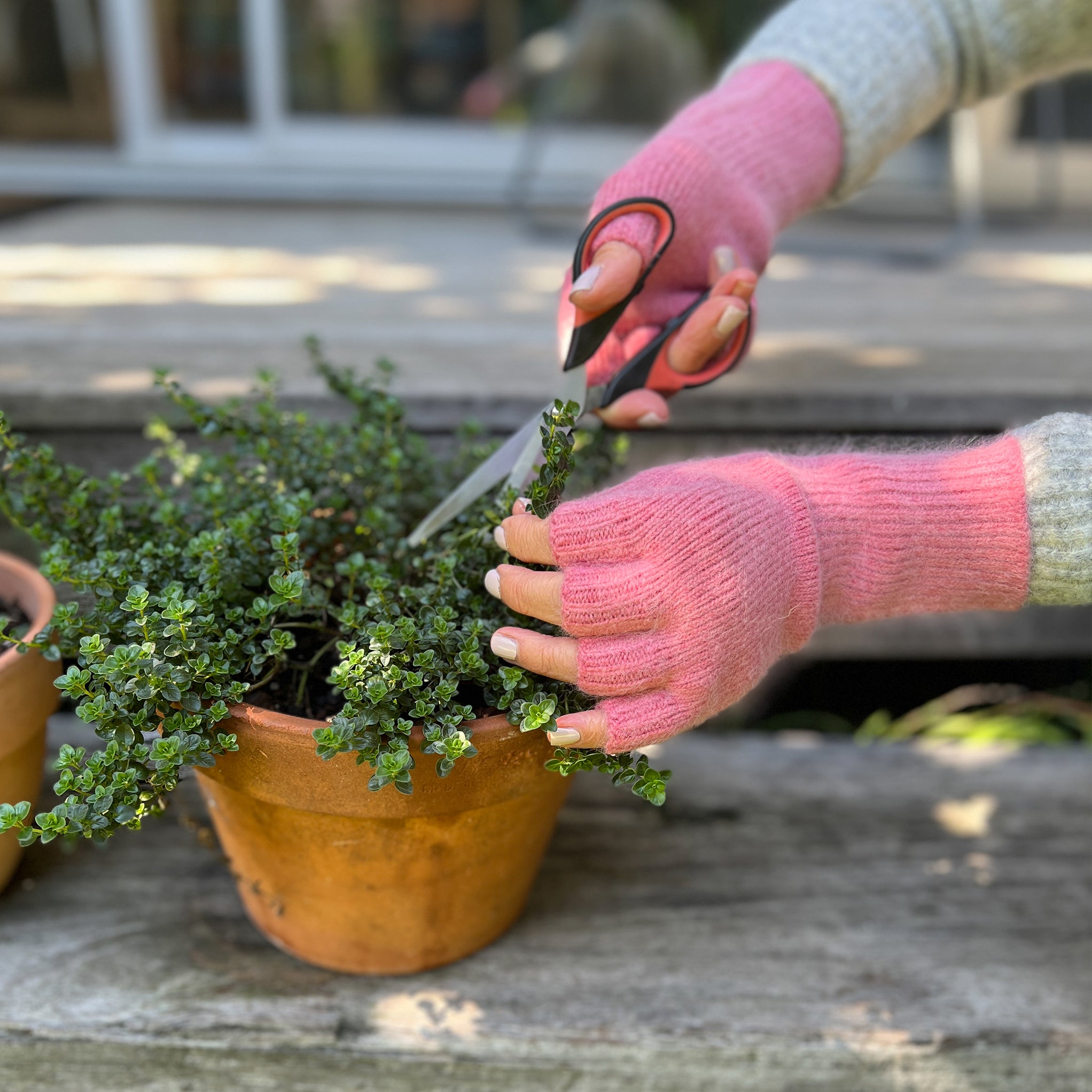 Angora & Lambswool Fingerless Gloves in Carnation