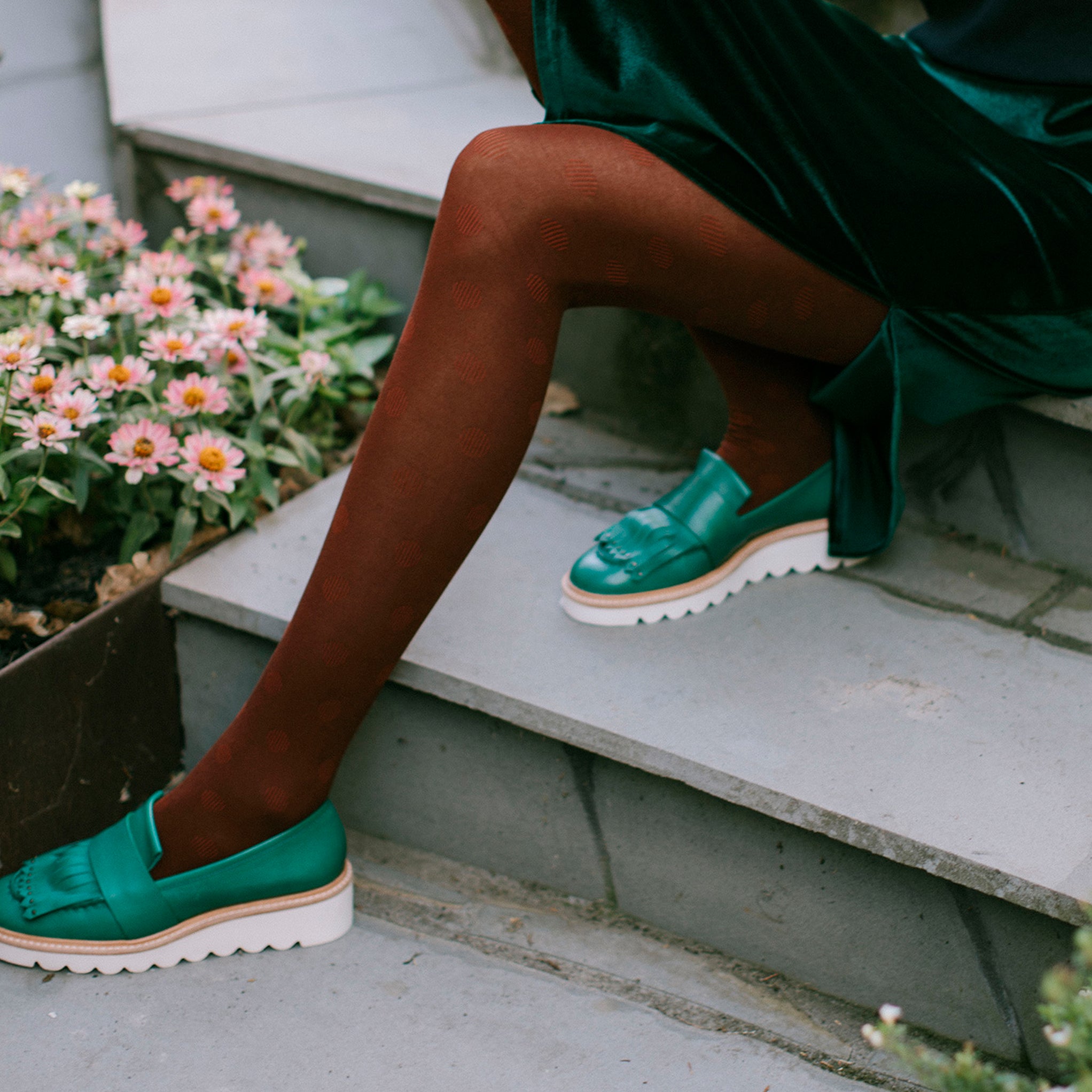 Tightology Cotton 'Cirque' tights in Henna