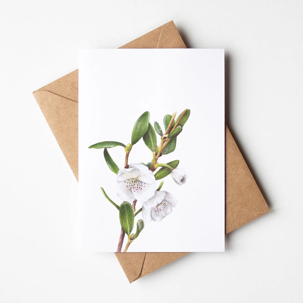 Leatherwood Flower Greeting Card and envelope