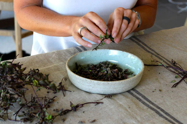 How to make your own herbal tea