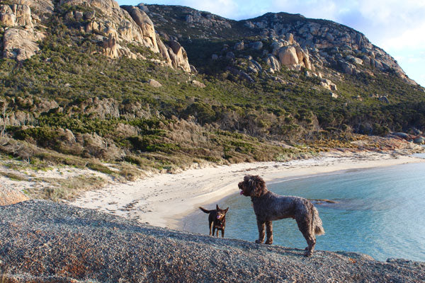 City slicker versus island dweller. Which adventure would you choose?