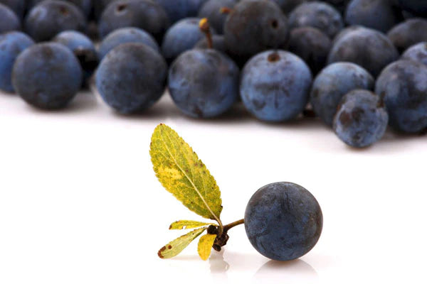Superfood Feature: The health benefts of Maqui Berry