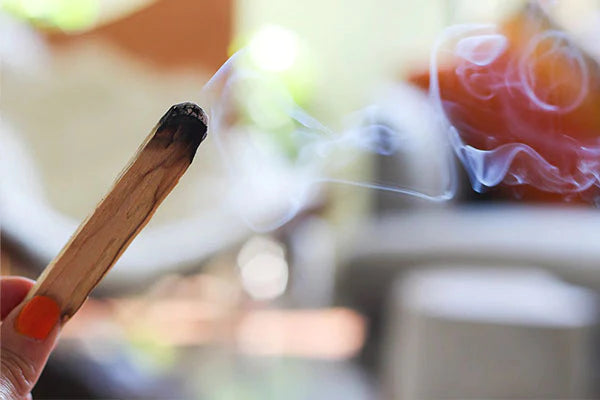 The Magic of Palo Santo (and how to use it)