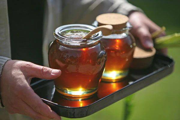 Refined Sugar Substitutes: what you need to know.