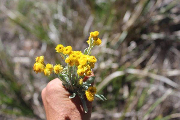 This simple gratitude practice could change your life.