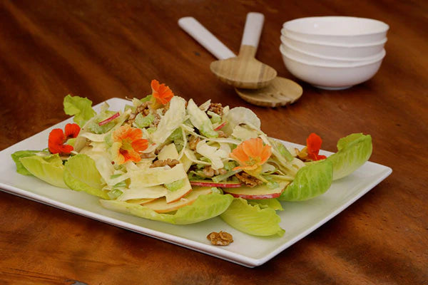 Waldorf Salad with Notes of Anise and Lemon