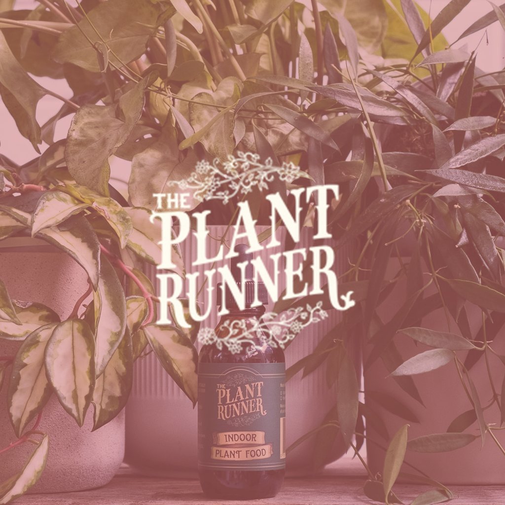 The Plant Runner