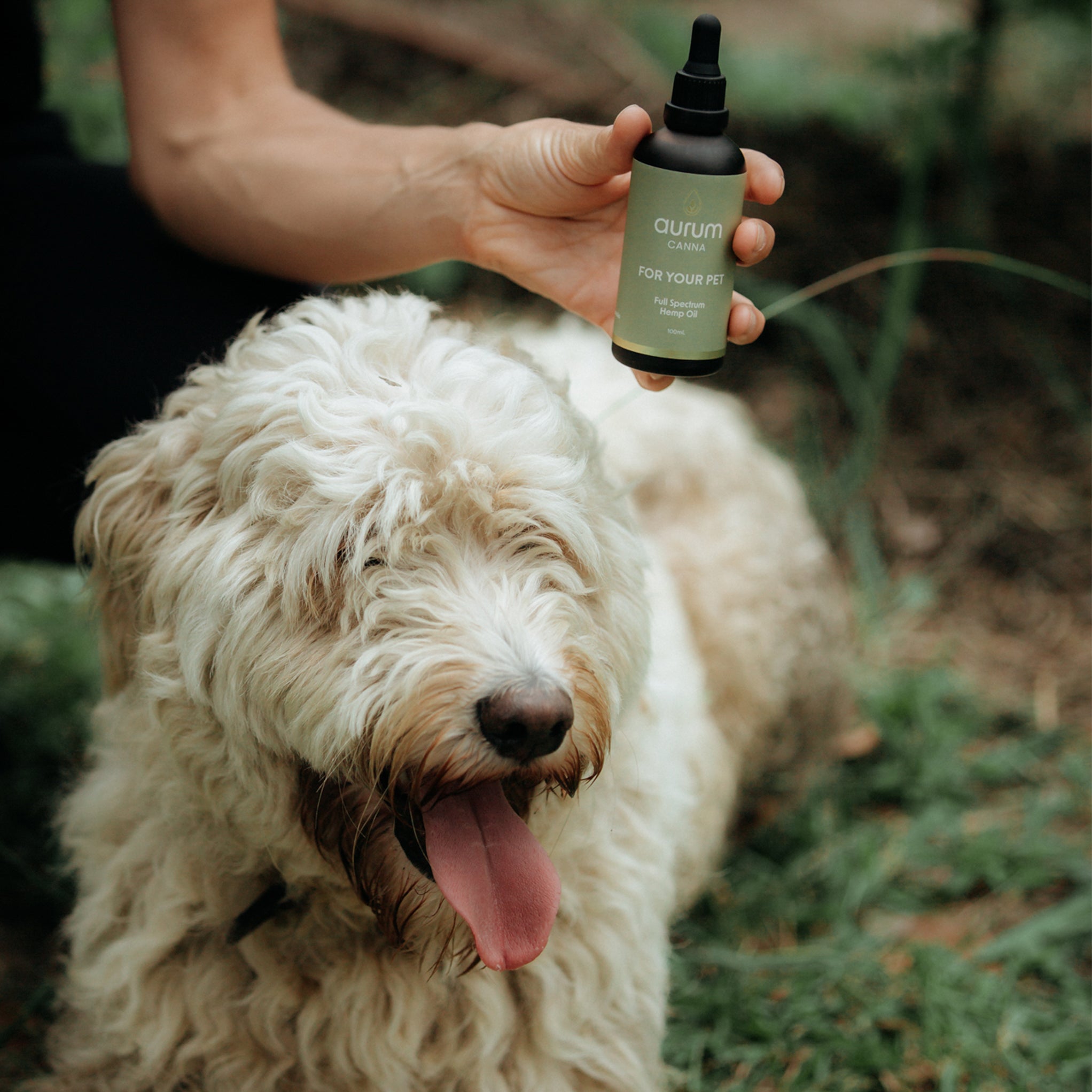 Aurum For Your Pet Hemp Oil