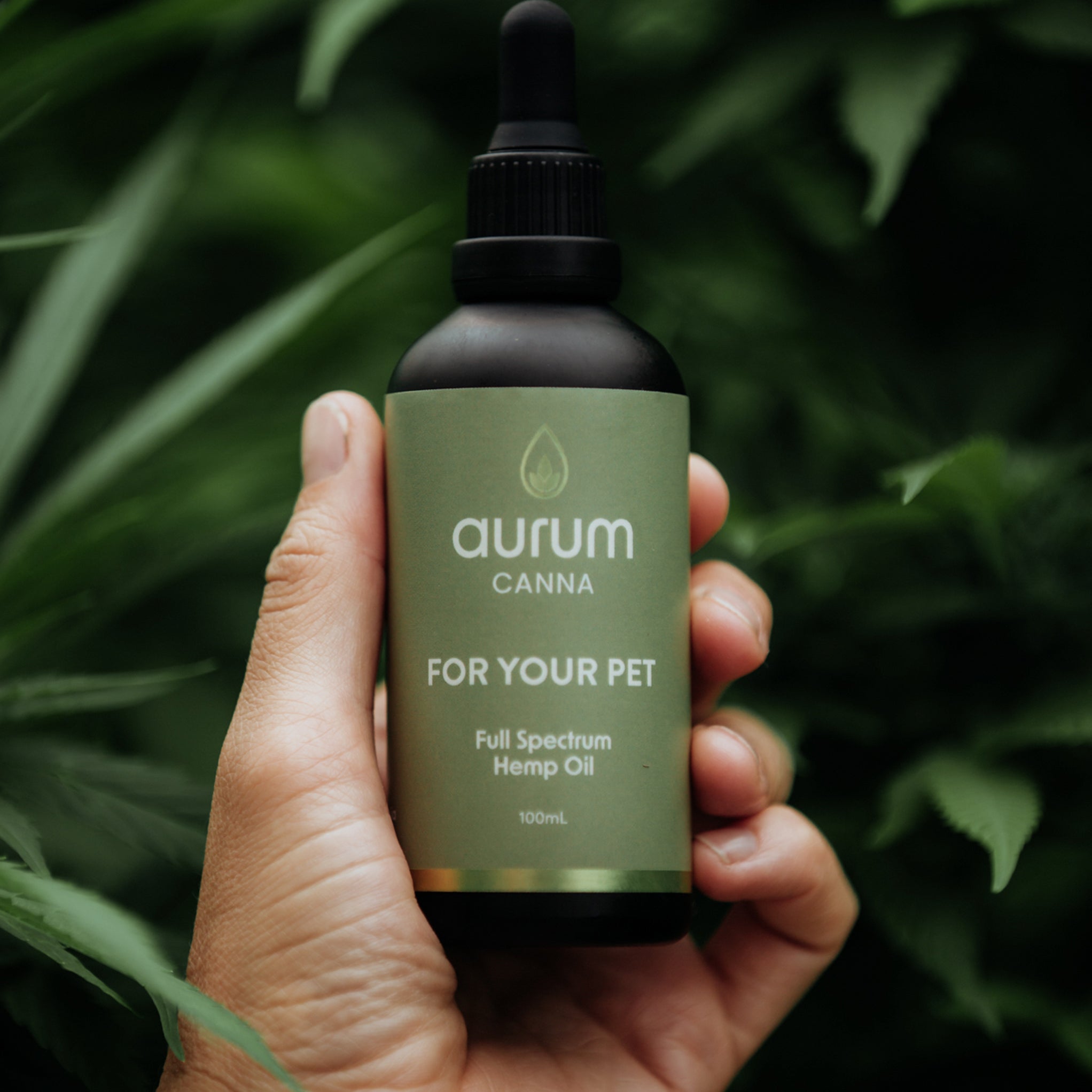 Aurum For Your Pet Hemp Oil