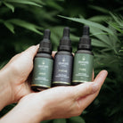 Aurum High Strength Hemp Oils