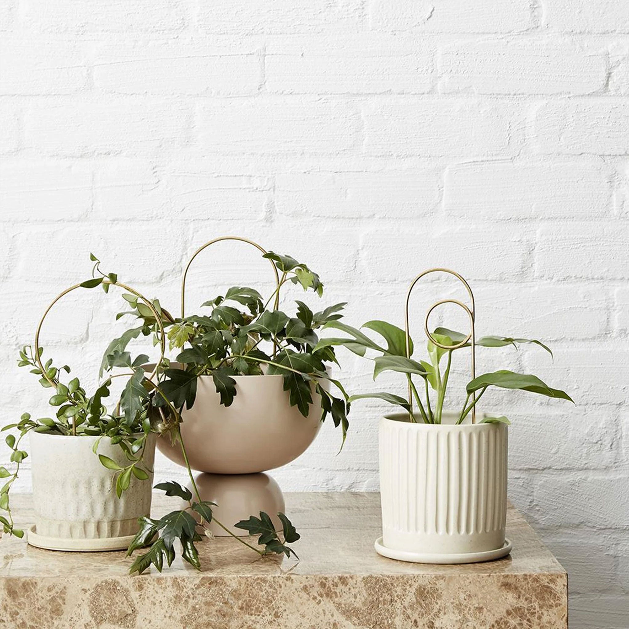 Ivy Muse  Brass Plant Stakes 