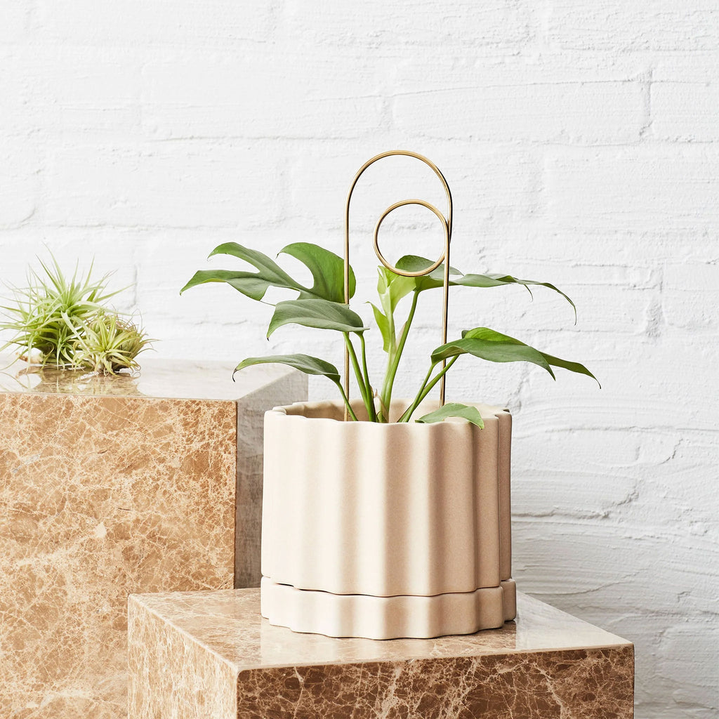 A potted plant and an Ivy Muse brass 'loop' plant stake. 