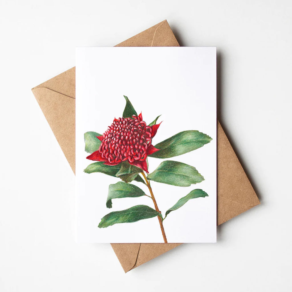 Red Waratah Greeting Card and envelope