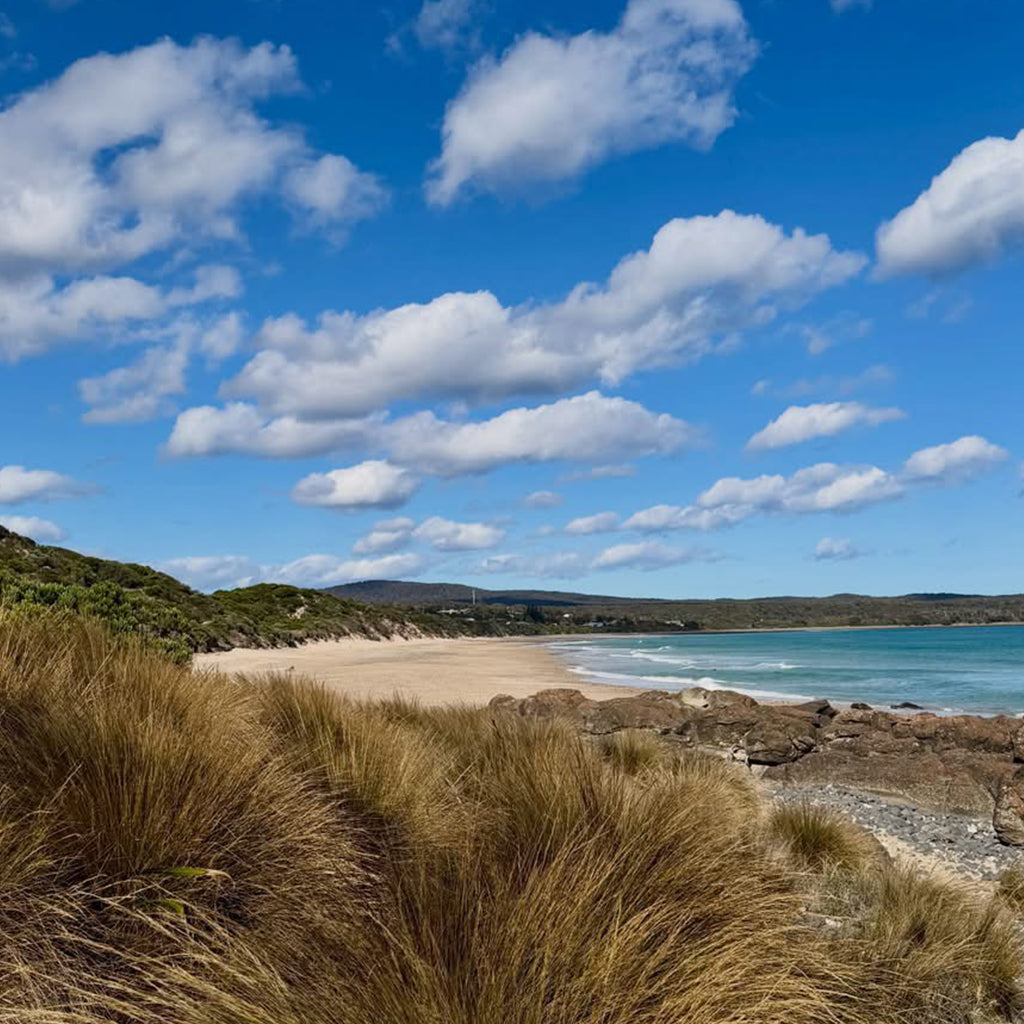 Beach scene with grassy foreground and blue sky with clouds