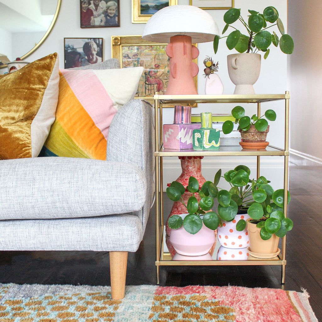 Some of Amy's indoor plants sitting on a side-table next to her couch